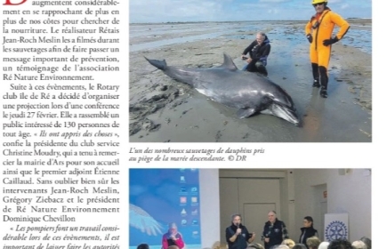 Succès de la conférence « Sauvetage de dauphins à l’île de Ré »